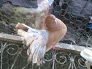 IMG_20160713_184614