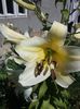 20160714_112423