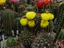 DSC09905