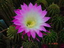 DSC09911