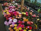 DSC09961