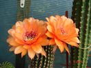DSC00001