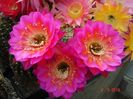 DSC00006