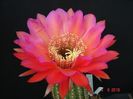 DSC00017