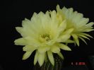 DSC00021