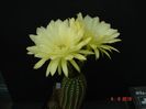 DSC00024