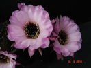DSC00114