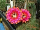 DSC00129