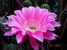 DSC00145