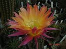 DSC00151