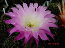 DSC00153