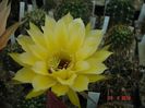 DSC00157