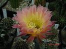 DSC00169