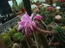 DSC00175