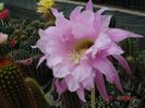DSC00177