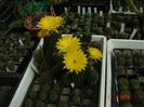 DSC00183