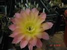 DSC00187