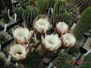 DSC00191