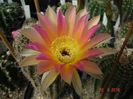DSC00192