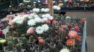 IMG_20160602_075444_766