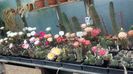 IMG_20160602_075515_954