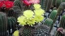 IMG_20160603_131503_609