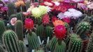 IMG_20160603_132411_355