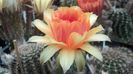 IMG_20160603_132501_023