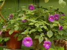 DSCN1449