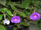 DSCN1554