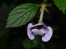 DSCN1615