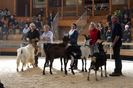 La concurs-65y