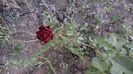 20160714_193020