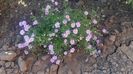 20160714_173044