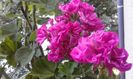 20160714_191740