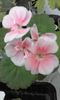 20160714_192031