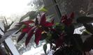 20160714_192204