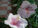 P1280210