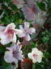 P1280234