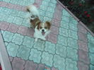 DSCN2839