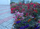 DSCN2814