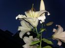 20160714_211732