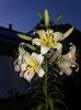 20160714_211601