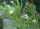 DSCN0728[1]