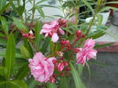 DSCN0735[1]
