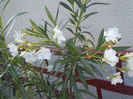 DSCN0734[1]