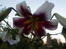 DSCN0752[1]