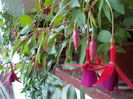 DSCN0749[1]