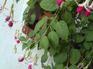 DSCN0751[1]