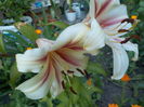 DSCN0726[1]
